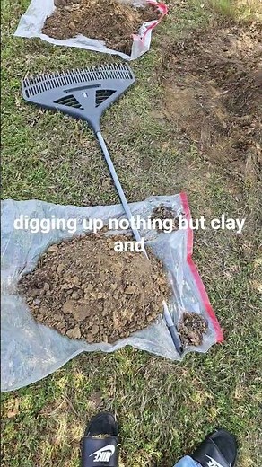 Yardwork Wiz attempts to edge around tree 🤦🏾‍♂️