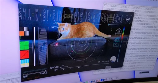 NASA beams cute cat video back to Earth from deep space