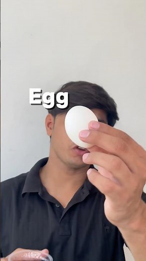 Egg & Vinegar Experiment