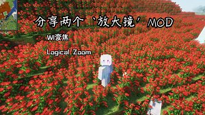 分享两个‘放大镜’MOD，Foreg和Fabric都能兼顾到~