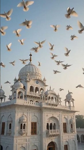 Sukhmani Sahib Path | Peaceful Punjabi Village Morning Scene | Gurdwara Sahib | Relaxing Gurbani