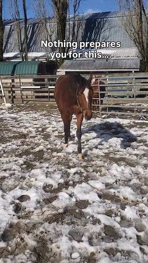 13K views · 144 reactions | Too many cute versions of this trend, I...