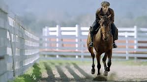 𝑽𝑬𝑹 𝑨𝑯𝑶𝑹𝑨 📽️ >> https://bio-shortlink.com/HXGqx seabiscuit pelicula completa #peliculacompleta #movie #fullmovie | Caroline Martin