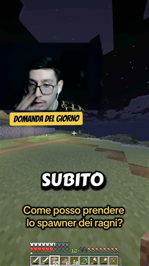 Minecraft Vanilla domanda del giorno