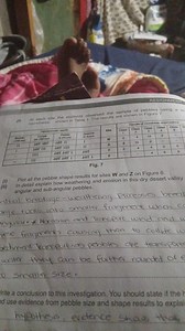 (i) Plot all the pebble shape results for sites W and Z on Figu... | Filo