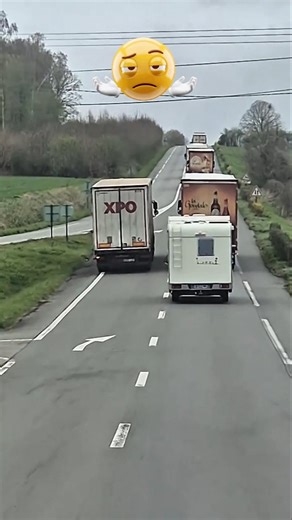 Smooth pass! 💨 Floxyfd #truckdriver #lkw #camion #automobile #job #work #ets2 #fahrer