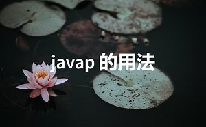 JDK 工具 javap 的用法