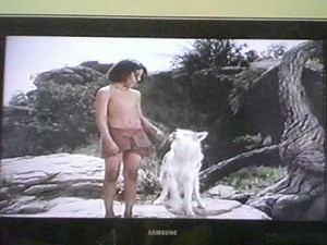 Opening To The Spirit Of Mickey 1998 VHS