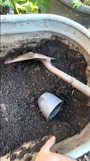 Super Fast Compost Made Using #biochar