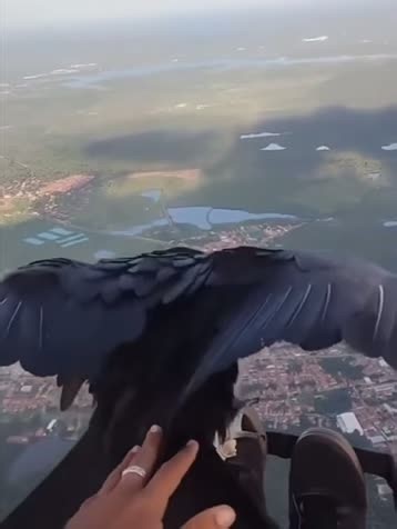 Bio_logy 🇺🇸 (@bio_logyy)’s videos with original sound - Bio_logy 🇺🇸