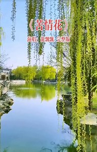 龙飘飘🎙️苦情花🌸完整版🎸🎶 | Kai Xin Goh