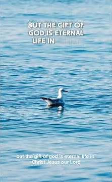 Bible Verses That Reveal the Beauty of Eternal Life #bibleverses