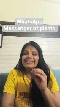WhatsApp Messenger of plants #Phyto #icsebiology #biologicofficial