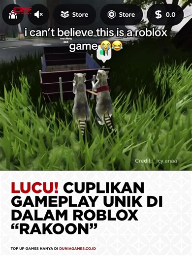 Rakoon Roblox: Cuplikan Gameplay Lucu di Map Rakoon