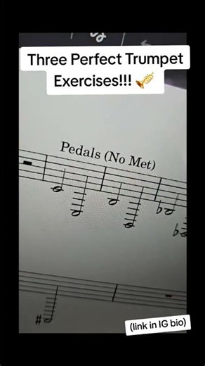 Three Perfect Trumpet Exercises 🎺 #band #marchingband #brass #trumpet #fundamentals