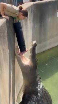 The Strangest Things Animals Have Ever Done