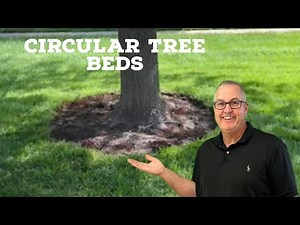 How to Make Planting Beds Around a Tree DIY