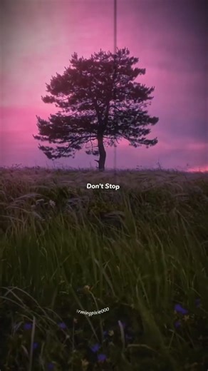 Senorita 💗✨️ || lyrics|| Camilla Cabello , Shawn Mendes || slowed #senorita #lyrics #fypviral #yt