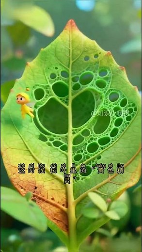 少兒百科《爲什麼秋天的葉子會變黃變紅》#真實生活分享計劃 #植物百科 #科普 #兒童動畫 #十萬個爲