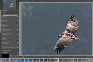 Darktable, la alternativa open source a Lightroom que sí puedes usar en Linux, recibe una enorme actualización y lavado de cara