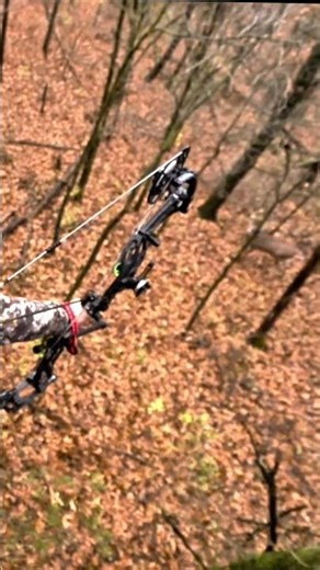 Silent Hunt, Big Reward | Giant Buck Down#BuckHunting #DeerHunting #BigBuck #Whitetail #HuntingLife