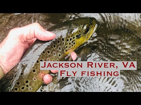 Jackson River, VA Fly Fishing