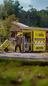 When I move from tree to tree, I use TAXIBOX to move my nuts for me. | TAXIBOX