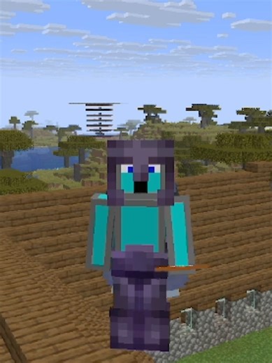 Minecraft Diamond Hunt Success!