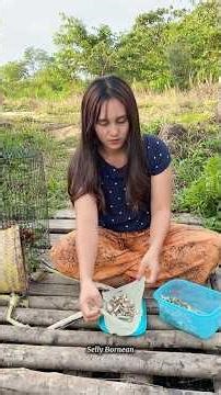 New Experiment! Dayak Girl Tries Anchovy Bait for Fishing Traps 😱🎣