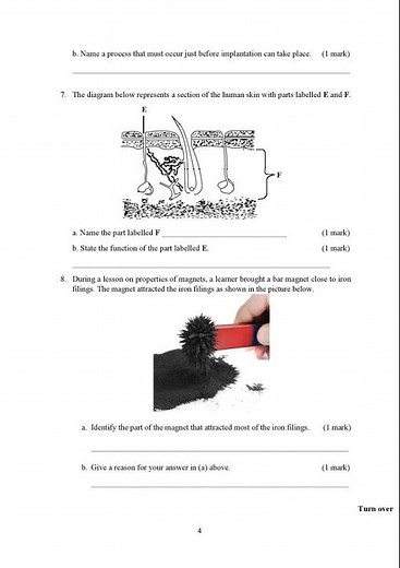 Grade 7 KNEC Integrated Science — SBA 2025: Questions & Marking scheme download pdf