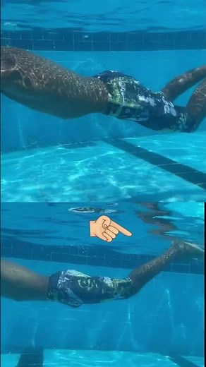 Swim Breaststroke Correct Your Leg Kick Technique