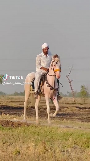 Amir Shahzad on TikTok