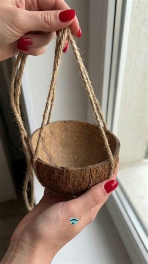 The Easiest DIY Bird Feeder Ever