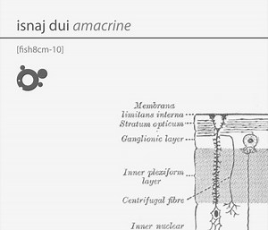 Isnaj Dui - Amacrine