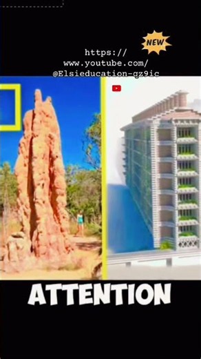 Biomimicry by Elsi Education