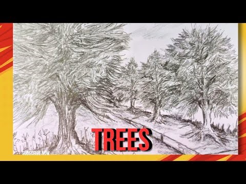 Landscape: Trees . One Point Perspective Drawing.