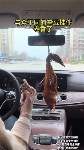 Unleash Your Car's Style: The Must-Have Accessory That Satisfies Your Needs