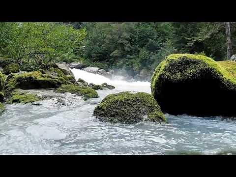 Climate Change: Threats to Aquatic Ecosystems