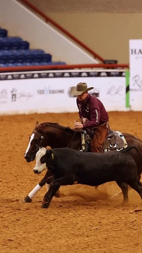6666 Ranch | Four Sixes Ranch stallions made their mark in today’s Open Bridle Prelims at the Snaffle Bit Futurity, with 20 offspring competing. Here’s... | Instagram