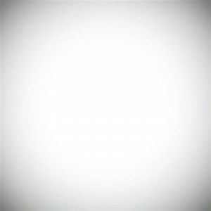 Can't bear the heat: A pair of bears in Boulder, Colorado celebrated the warm weather with a backyard pool party less than 24 hours before a snowstorm hit. | Fox News