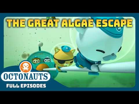 ‪@Octonauts‬ - 🍃 The Great Algae Escape ⛑️ | Season 1 | Full Episode | Cartoons for Kids