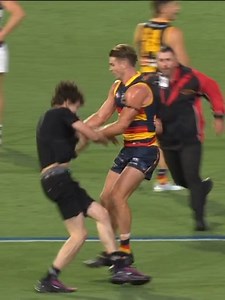 AFL Pitch Invader Stops Play | Adelaide Oval Incident | 7 News