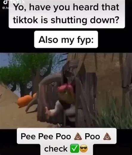 Yo, have you heard that tiktok is shutting down? Also my fyp: Pee Pee Poo & Poo & check - iFunny