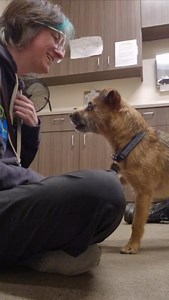 Training Spotlight: Cooperative Care with Career Change Dog 🐾 Nuka! CCD Nuka just started working on cooperative care this week, and he’s already making incredible progress! Cooperative care teaches dogs to opt in to handling, using behaviors like a chin rest or paw target to say, “I’m ready.” This approach helps build trust and comfort for things like vet visits, nail trims, ear checks, and more. Whether it’s eye drops or a quick grooming session, cooperative care makes everyday handling less 