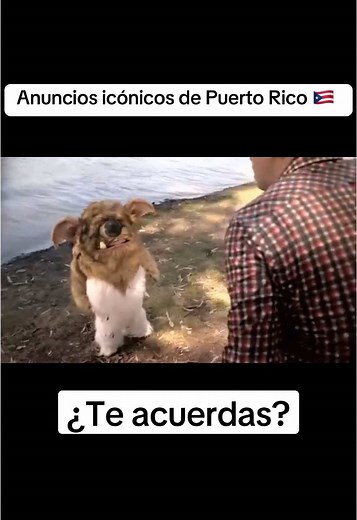Anuncios icónicos de Puerto Rico 🇵🇷