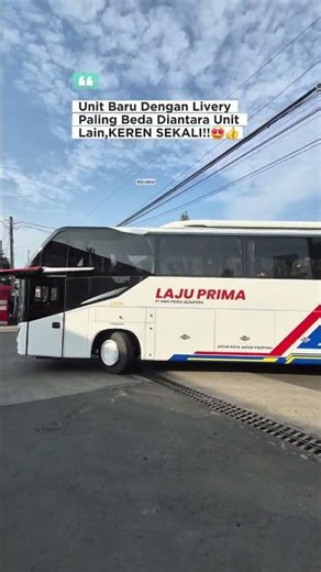 new unit of Prima Speed ​​Bus with very simple livery #bus #mobilbasuri #busmania #automobile