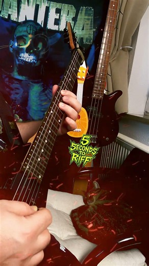 Cat Riffs - Metal Guitar Riff. Rate My Riff. Washburn Guitars