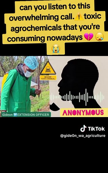 Toxic Potatoes: Farmers Hide Chemical Spraying Secrets