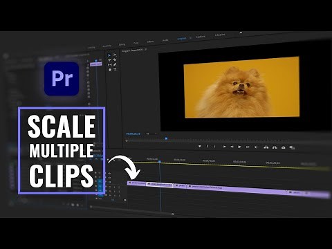 How To Scale Multiple Clips At Once | Adobe Premiere Pro Tutorial