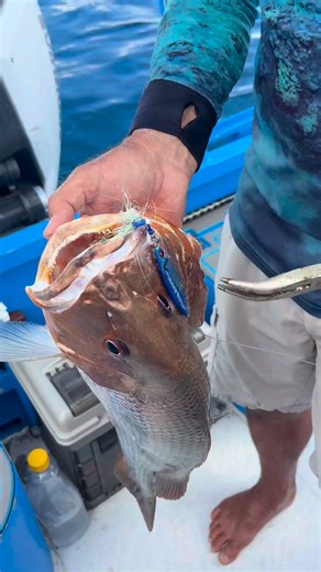 Pro tip: Check your hooks — points dull, barbs bent, split rings twisted — because losing a fish to bad hardware hurts more than the bite itself. Ryan runs through this stuff so you don’t learn it the hard way. 🚨 Sale on now — all courses discounted • $200 off Barra Basics & Sounder Skills 2 • $100 off all other courses • Bundle and save more — extra $50 off per course when you grab 2 👉 https://www.ryanmoodyfishing.com/courses/ | Ryan Moody Fishing